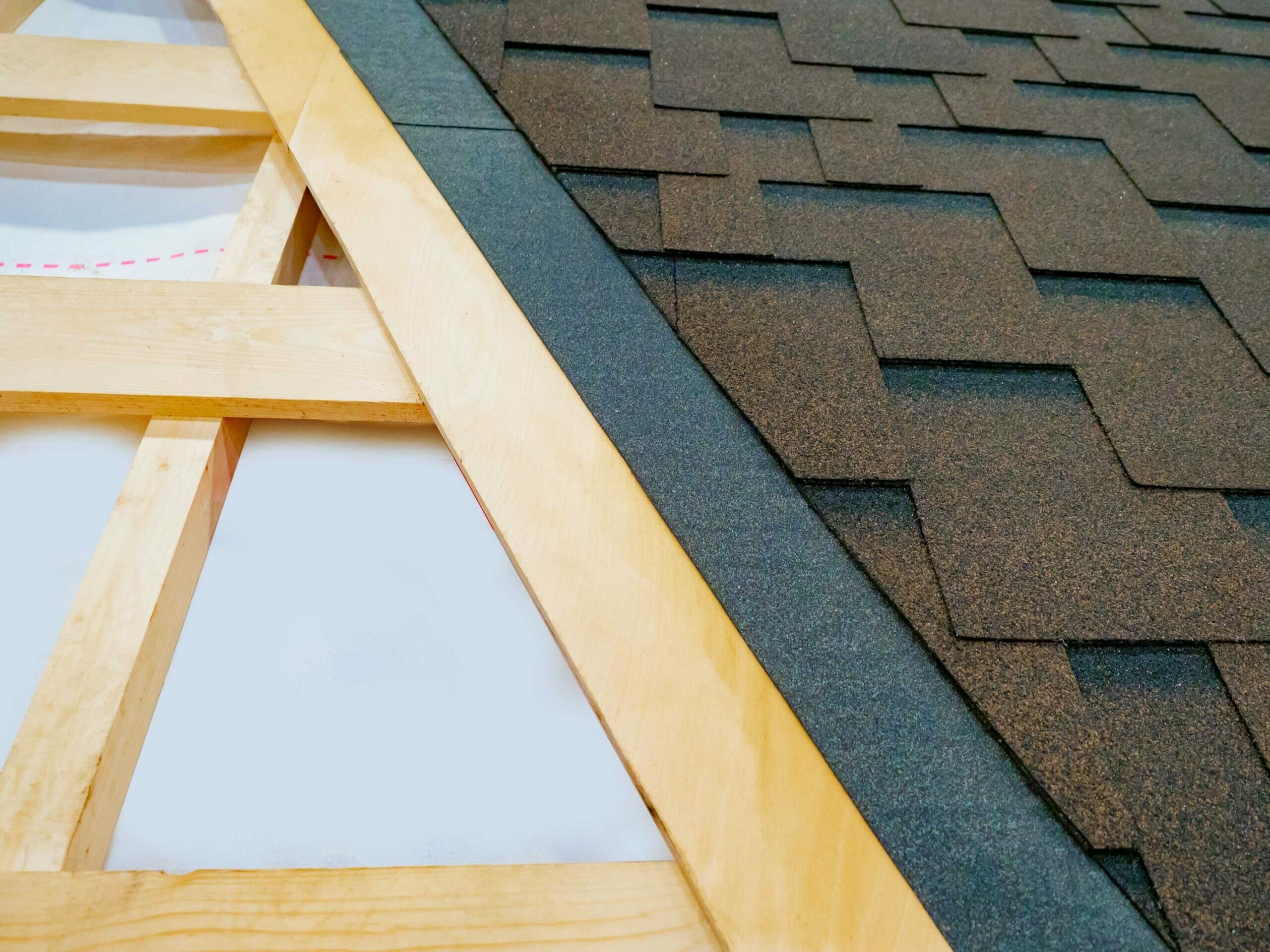local roofing contractor in Tampa